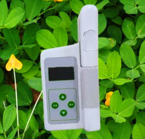 手持叶绿素测定仪便携式叶绿素检测仪即时测量