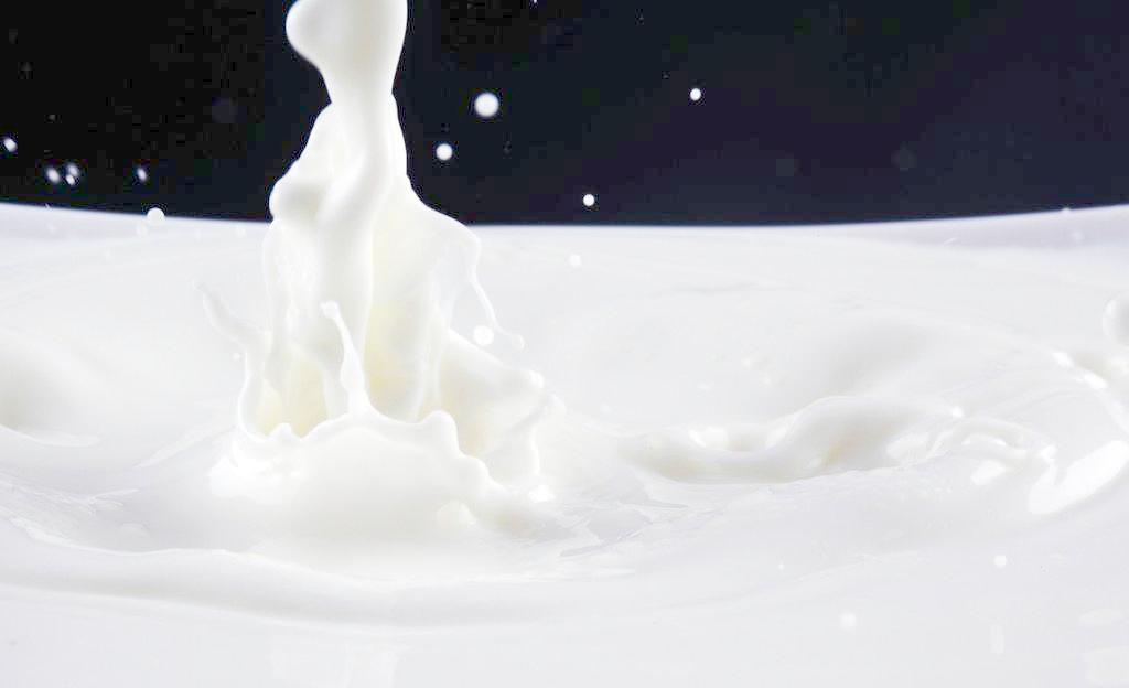 青岛奶粉进口需要什么资质