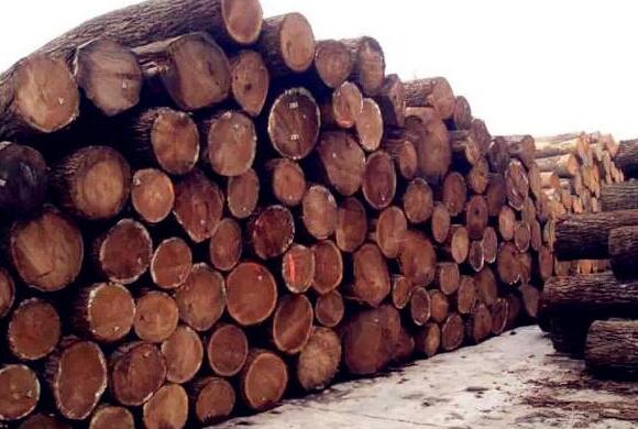非洲木材进口代理清关