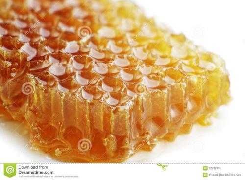 上海海关蜂蜜进口报关流程