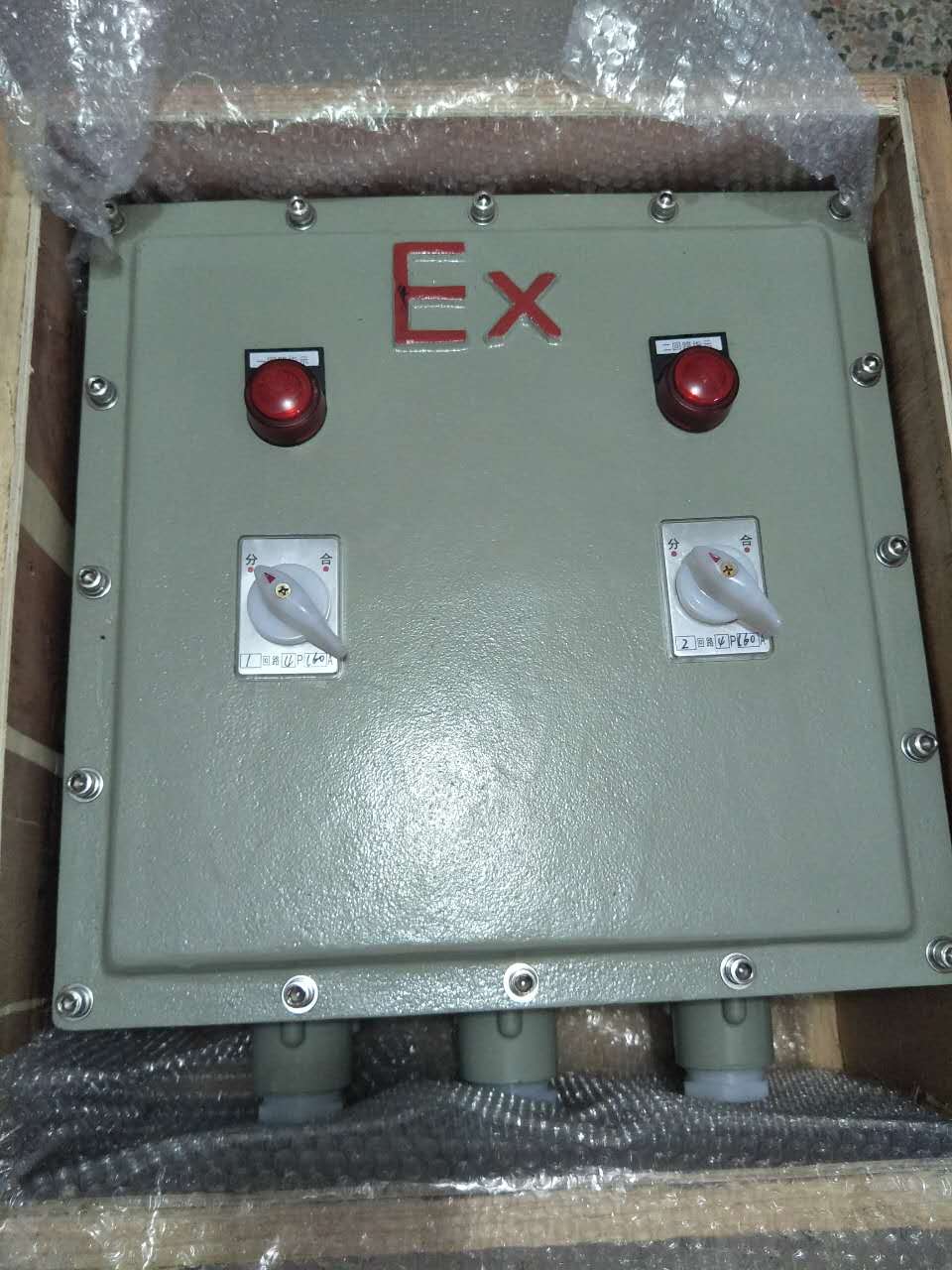防爆配电箱厂家定制 BXM51-2防爆照明配电箱
