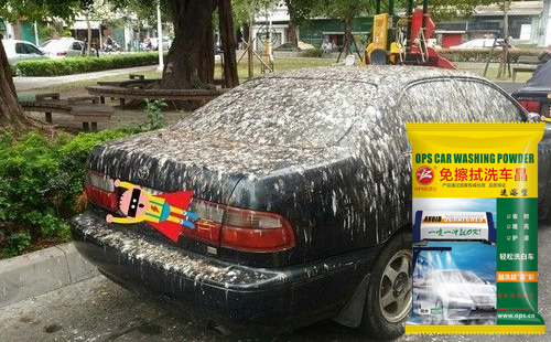 欧派仕洗车粉 虫胶去除剂 免擦水蜡洗车液厂家