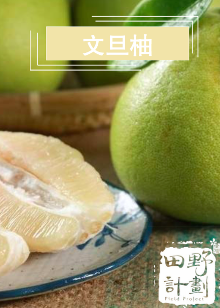 中国台湾文旦柚 田野计划老欉麻豆文旦柚 好吃的文旦