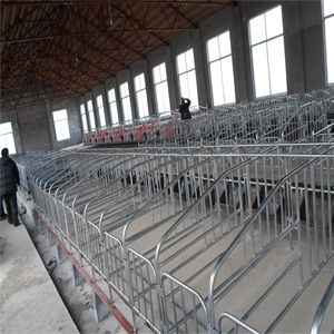 加厚热镀锌母猪定位栏 限围栏养猪设备养厂家直销利祥农牧