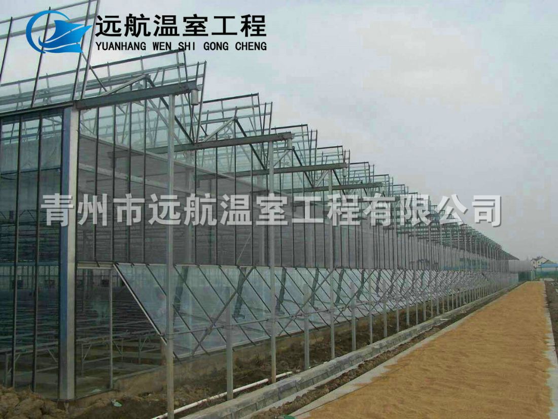山东省青州市远航温室工程玻璃温室