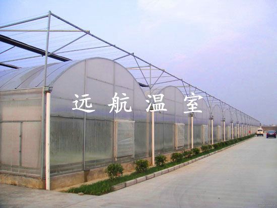 青州市远航温室 连栋薄膜温室
