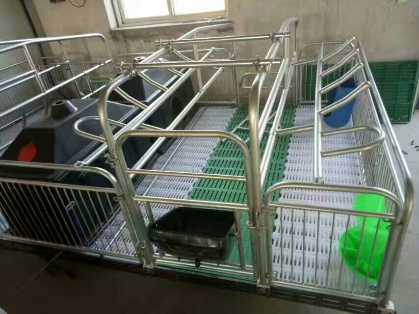 自动化养猪设备母猪产床生产厂家