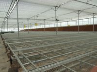 苗床网|移动苗床网|潮汐式苗床网、热镀锌苗床网
