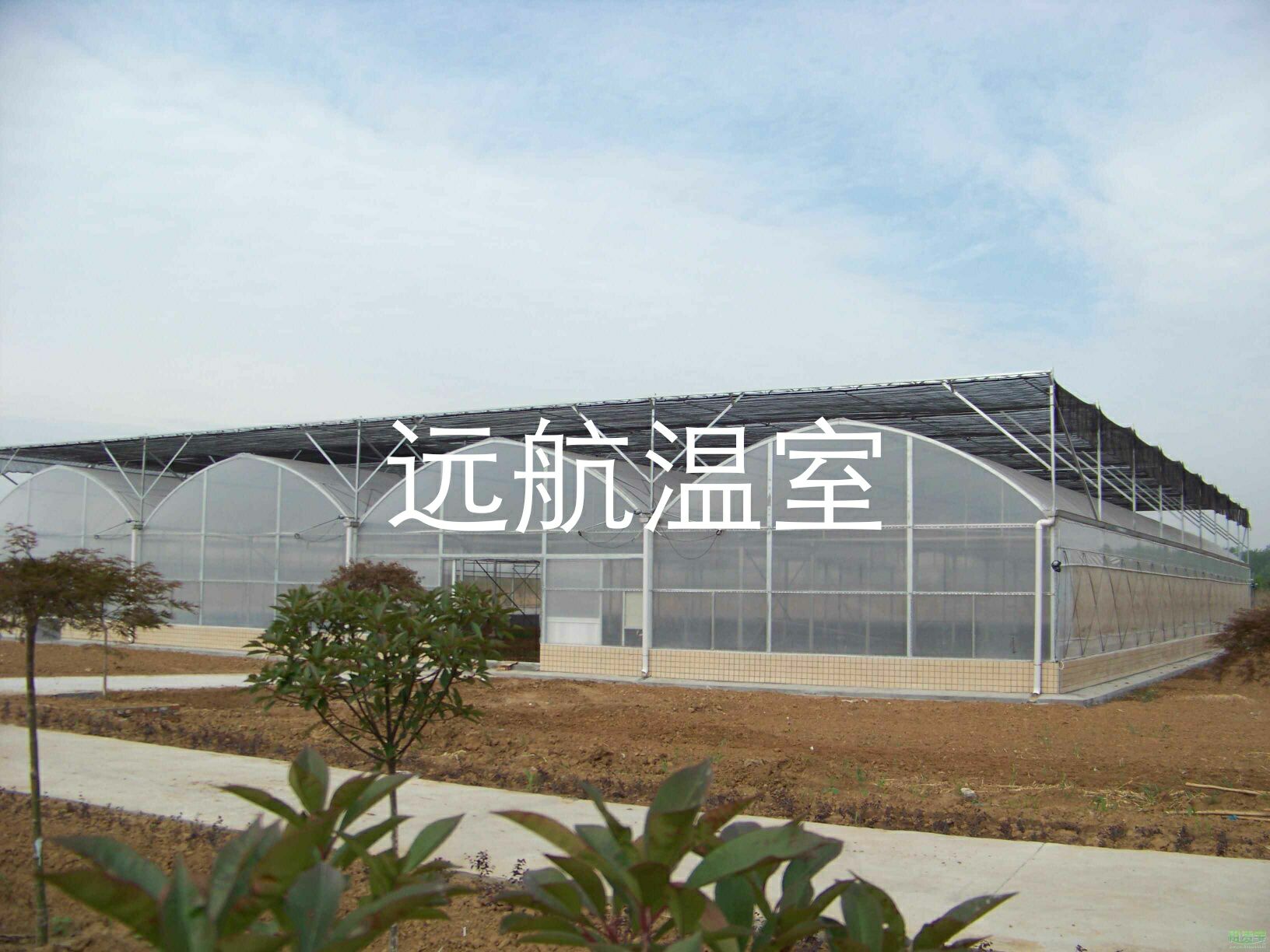 青州市 远航 温室工程，温室大棚