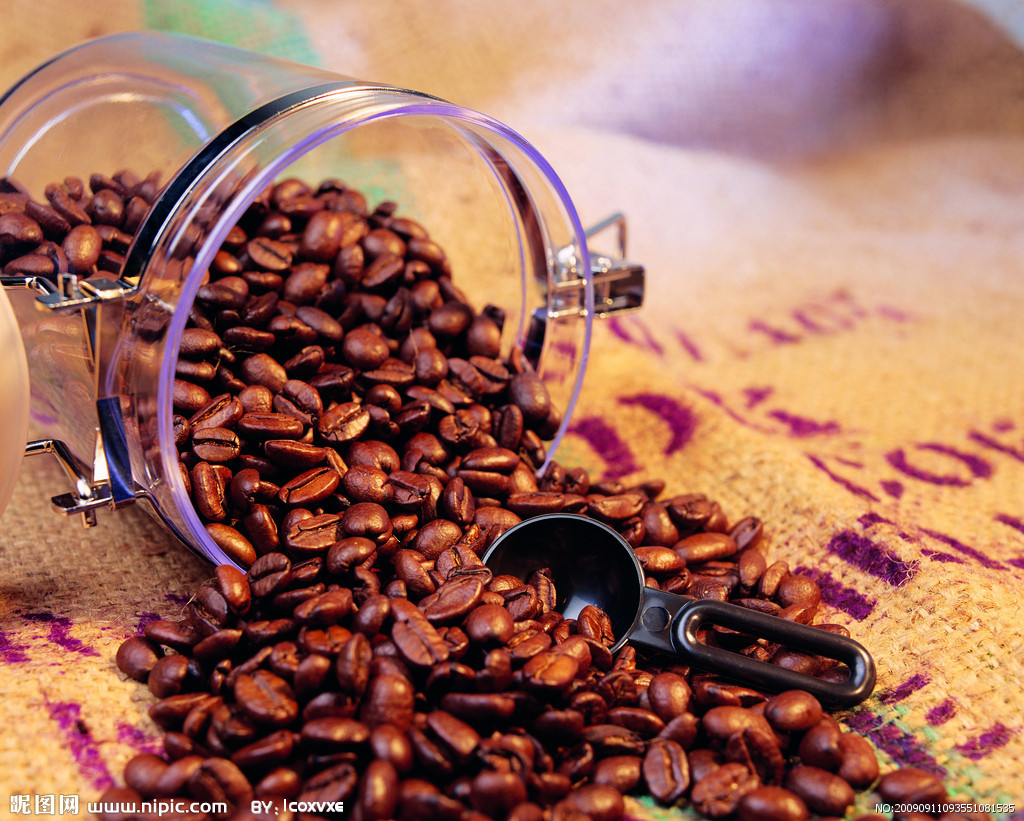 上海进口咖啡豆进口流程办理
