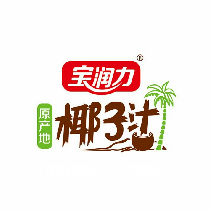 宝润力椰子汁 生榨椰子汁 宝润力植物蛋白饮料 海南产东莞椰汁