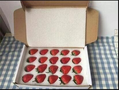 供应20枚草莓包装内衬防震减震