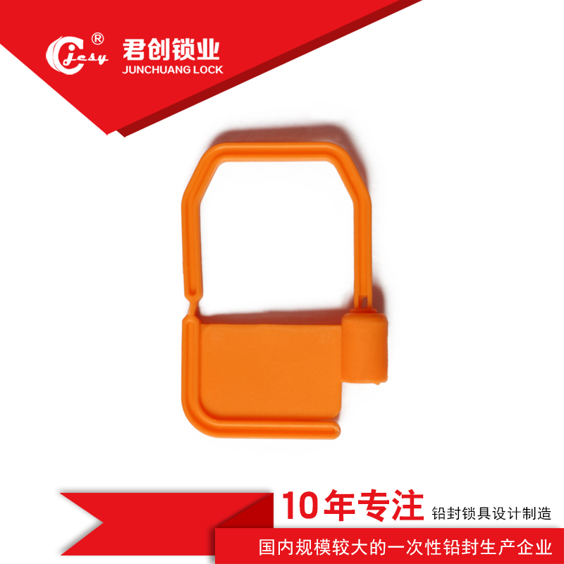 山东济南 一次性塑料挂锁 铅封锁 集装箱锁 电力表箱锁