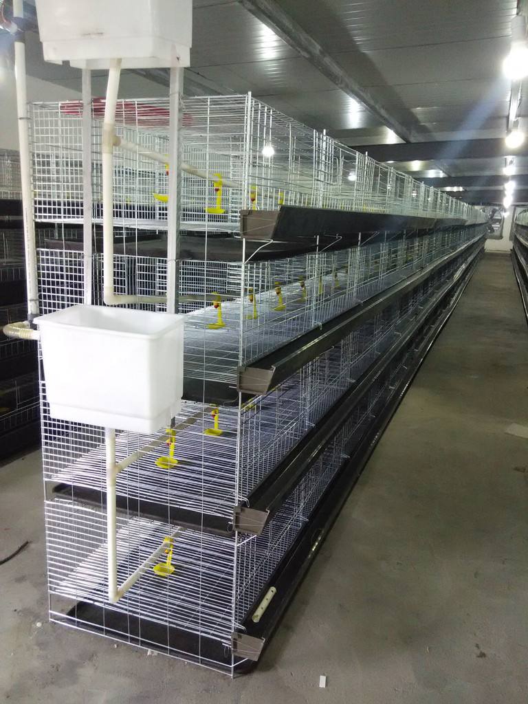 厂家供应笼养蛋鸡肉鸡设备四层八门立式育雏笼