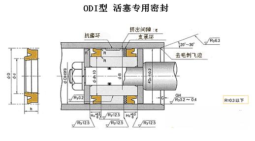ODI型液压缸活塞密封件