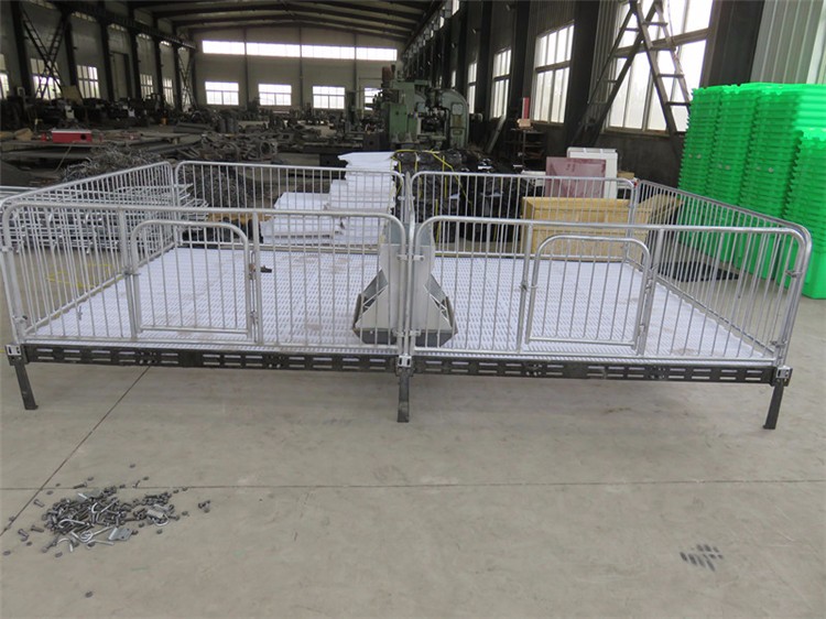 规模性猪场设备肥猪限位栏怀孕母猪定位栏专业生产厂家大量养猪设备批发低价供应