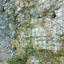 贵州凯里植物攀爬网 爬藤网 边坡绿化绿色钢塑土工格栅 厂家直销