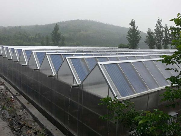 温室工程供应商价格-阳光板温室工程建造