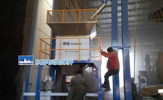 黑龙江省定量包装机牡丹江市灌包机怎么购买DCS-D2060P