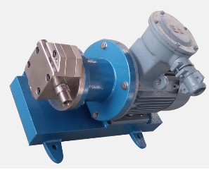 磁力齿轮泵制作 磁力齿轮泵生产 磁力齿轮泵