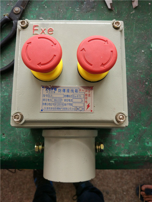 BZC8060-A2D2二钮二灯防爆操作柱