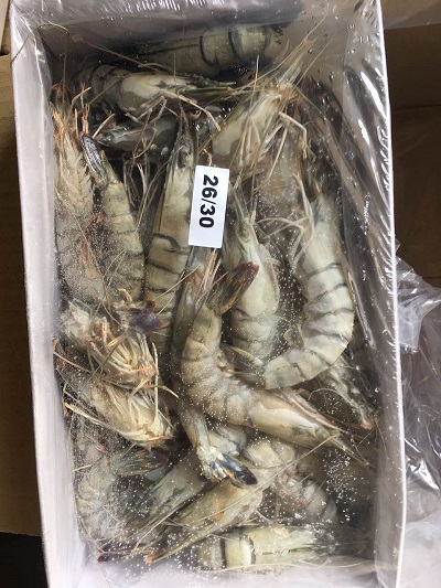 马来西亚进口冷冻黑虎虾南美白虾