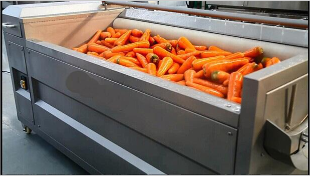 土豆去皮清洗机价格 气泡果蔬清洗机 多功能蔬菜清洗