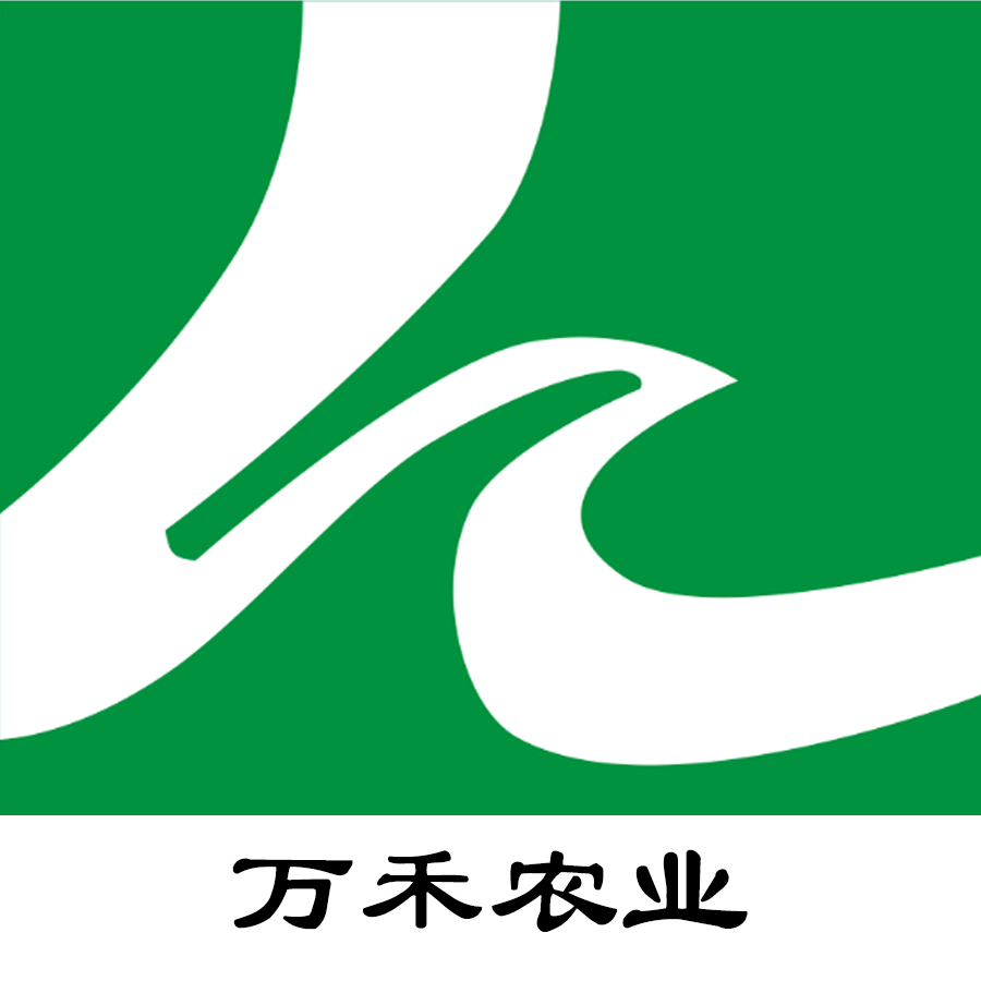 温室大棚建设-钢架温室大棚建设特点-寿光市万禾农业