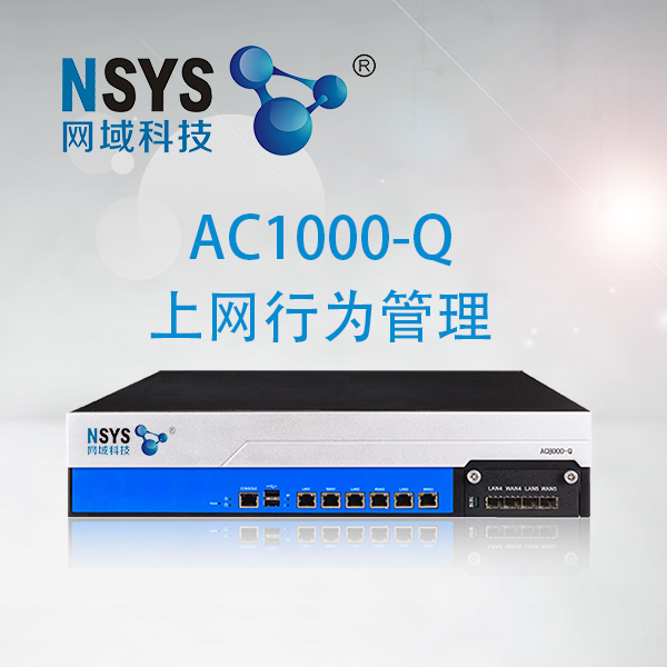 上网行为管理厂家_上网行为管理_上网行为管理设备-网域科技AC1000-Q