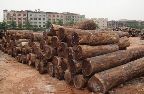 厦门进口非洲木材原木所需的完整单证