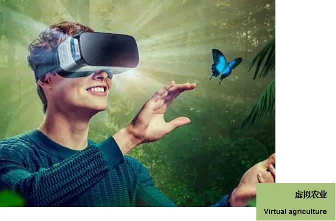 VR农业知识科普，虚拟现实内容开发，北京华锐视点