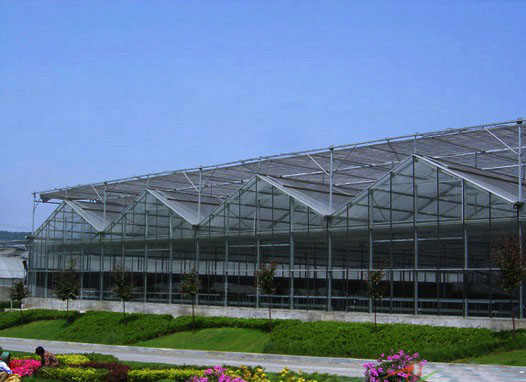 青州单拱温室大棚 优质单拱温室大棚建设
