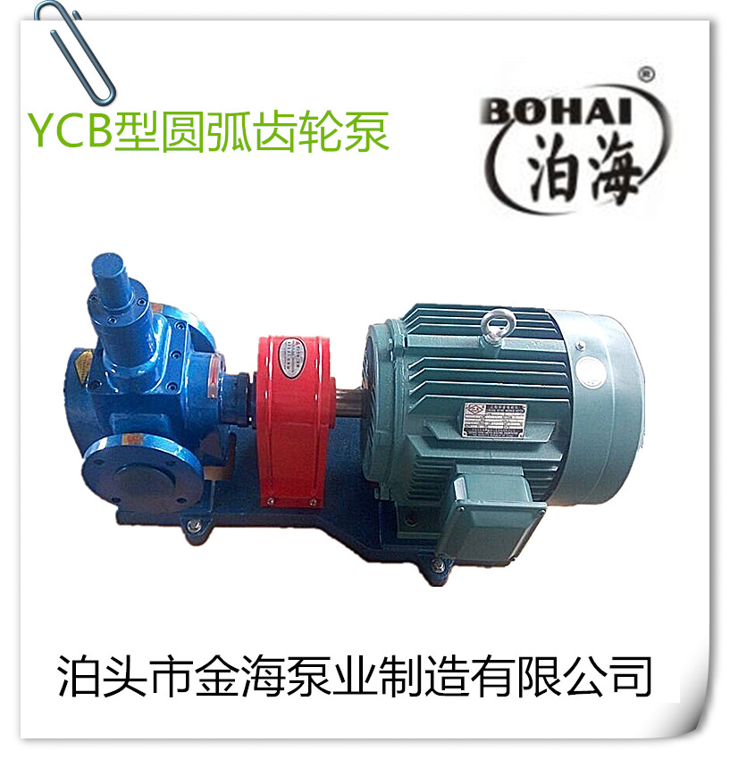 小型齿轮泵 YCB-0.6m3/h电动铸铁管道泵 供应单级小型油泵