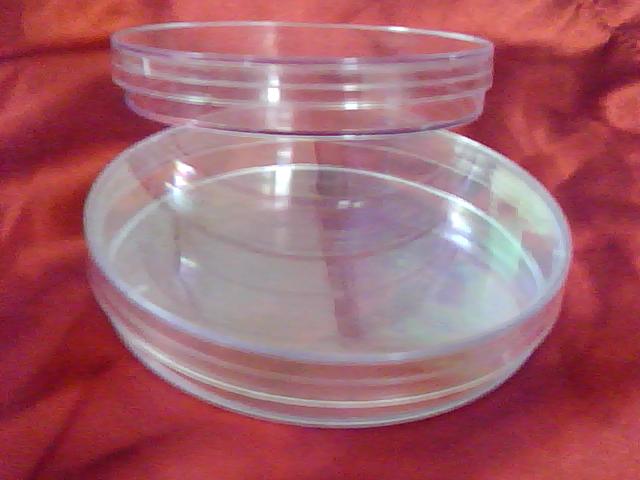 一次性塑料培养皿 接触皿70mm