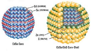 CdSe-ZnS quantum dots,化镉-化锌**点