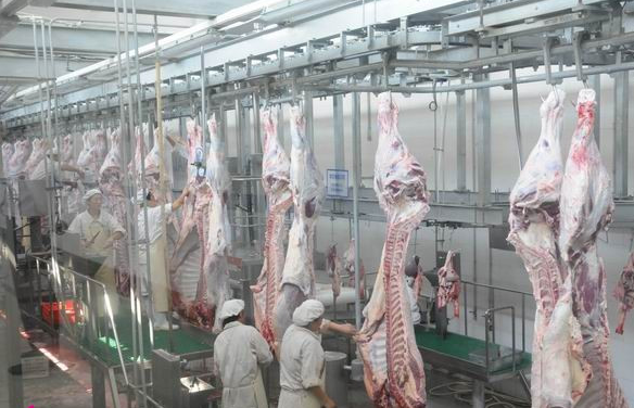 供应安徽肉类冷库 厂家建造