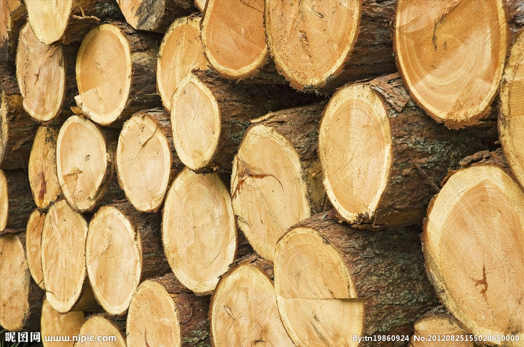 木材进口报关需要的资料