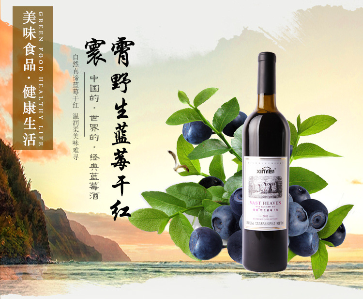 寰霄系列的经典**蓝莓干红 批发高档特产果酒饮料730ml