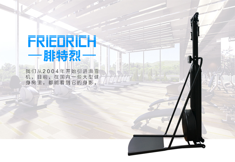 FriedRich/腓特烈上肢力量训练器SK1000健身房**训练滑雪机