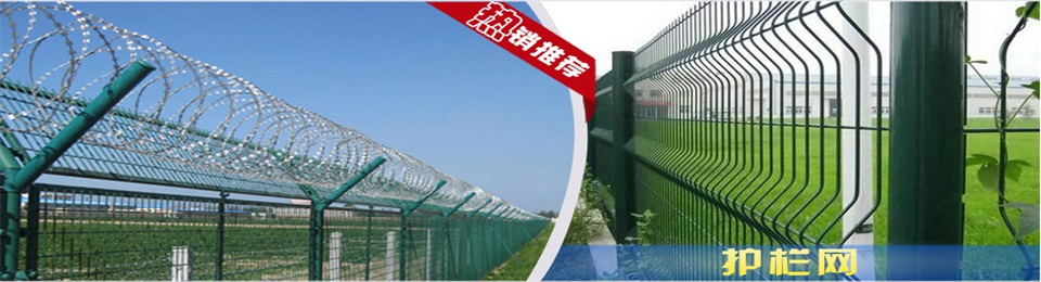 菜园防护网价格 绿色方孔网 6x6网孔护栏网