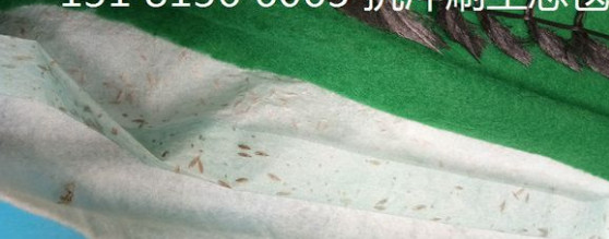 青海椰丝毯 环保草毯边坡绿化治理 植物纤维价格