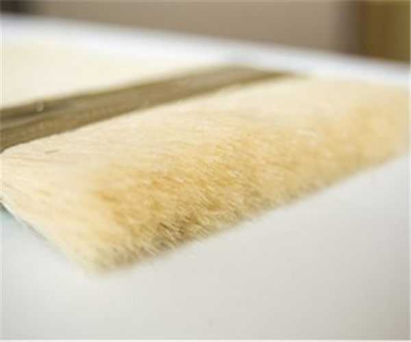 普陀区植毛板刷生产厂家-上海沿龙注塑刷定制-普陀区植毛板刷