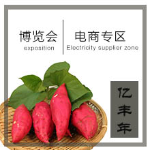 2018中国甘薯产业博览会将有红薯专属电商入住啦！