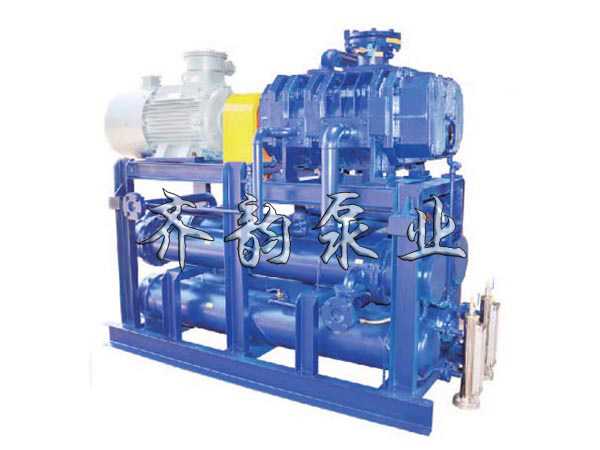 2BV水环式真空泵,旋片式真空泵,齐韵泵业