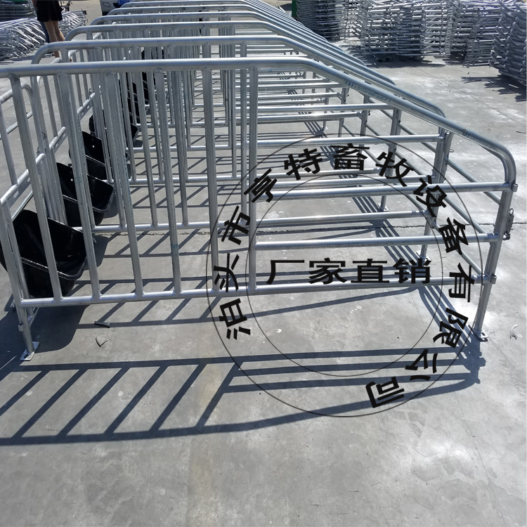沧州养猪设备厂家焊接母猪定位栏10位育肥栏