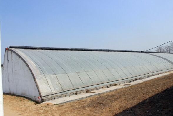 阳光板温室 自产自销 价格实惠合理-阳光板温室厂家