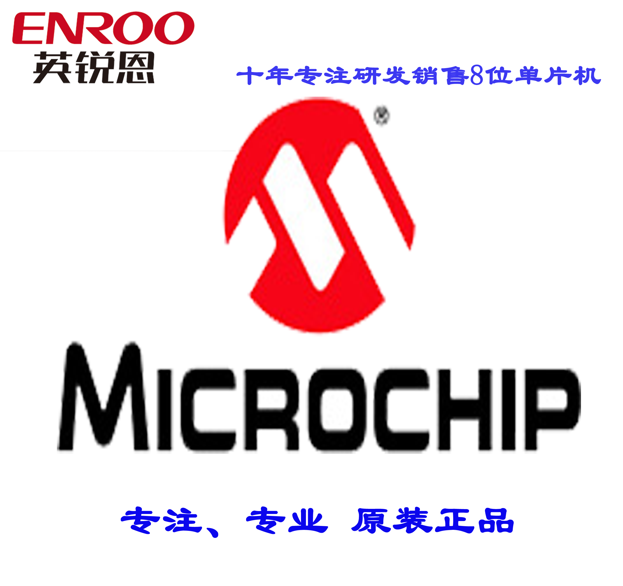 深圳代理microchip跳码编码器HCS 300提供技术支持