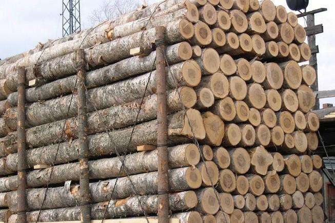 上海进口木材报关流程