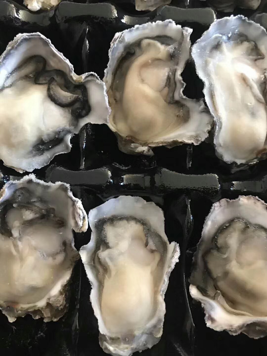 山东威海牡蛎的营养成分