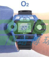 日本理研GW-2X 氧气浓度检测仪是便携式的吗
